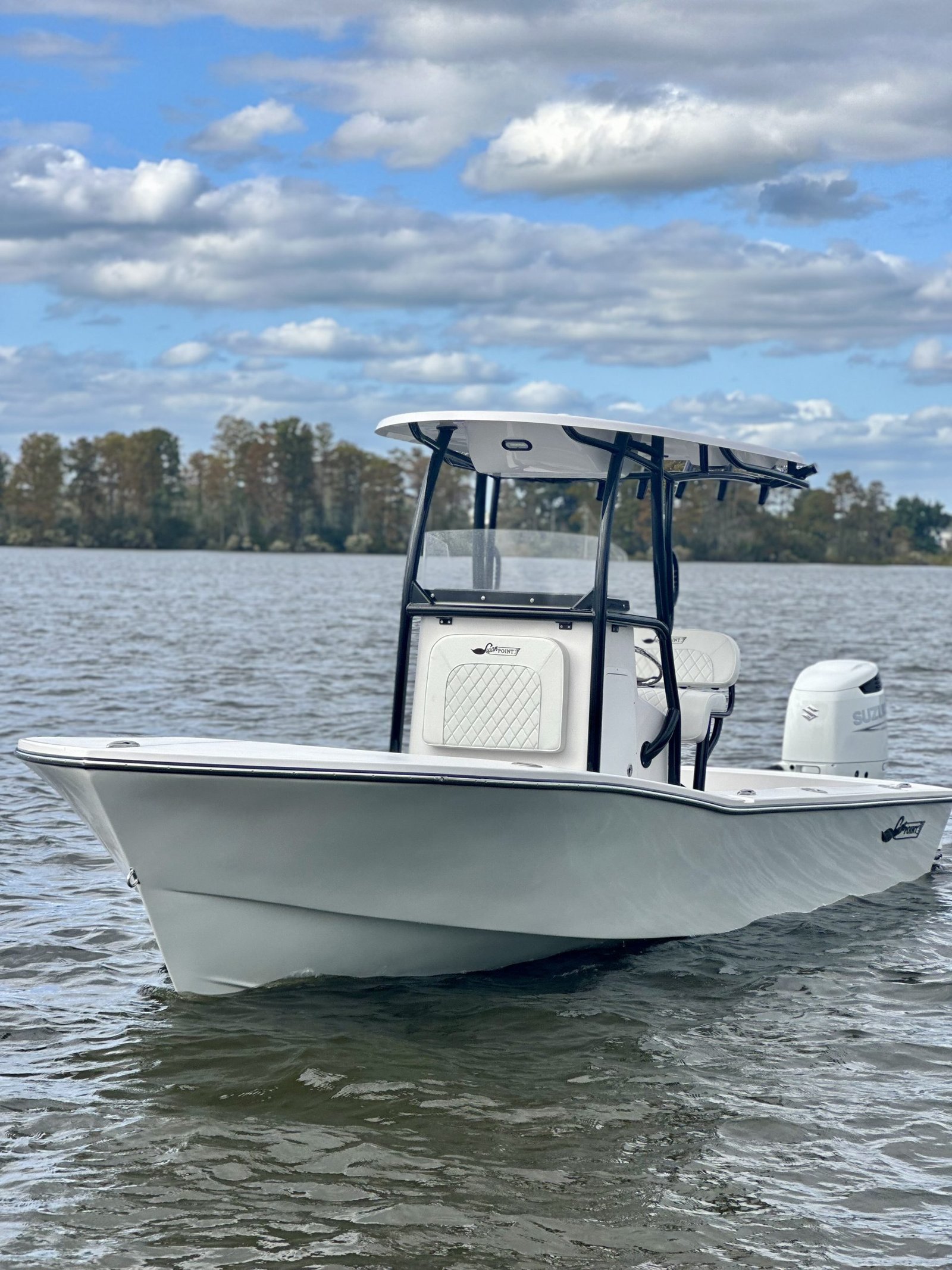 Front view of a Swan Point 2406 Carolinian on the water